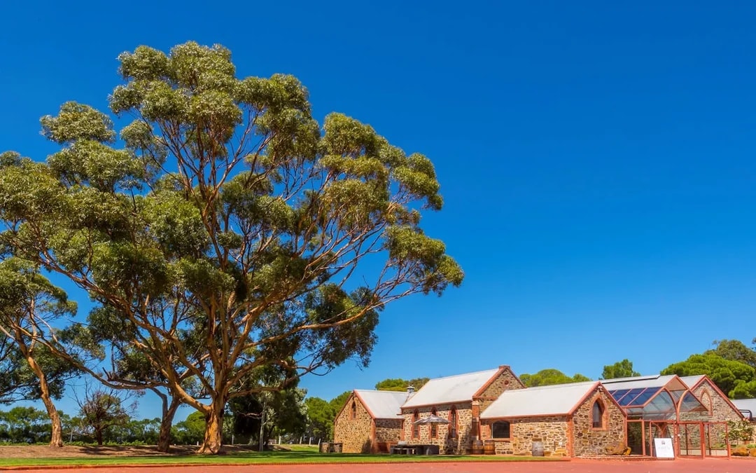 1/2 Day McLaren Vale Wine Tasting & Coast (Afternoon Tour) Image 10