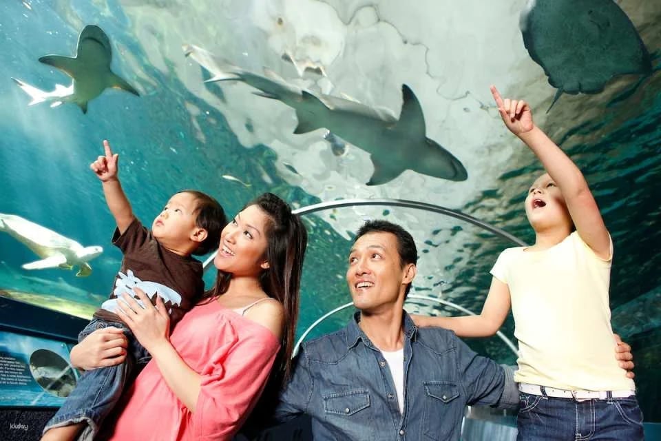 [10+ Group Only] [QR Direct Entry] SEA LIFE Sydney Aquarium Admission Ticket | Australia