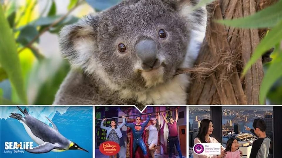 Sydney Attractions Combo Ticket