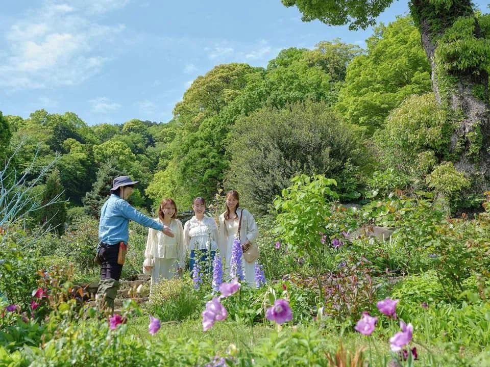 [10% OFF] ACAO FOREST Advance Ticket (Atami City, Shizuoka – Workshop)