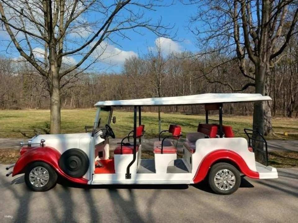 10 Seater Electric Classic Car Tour in Vienna