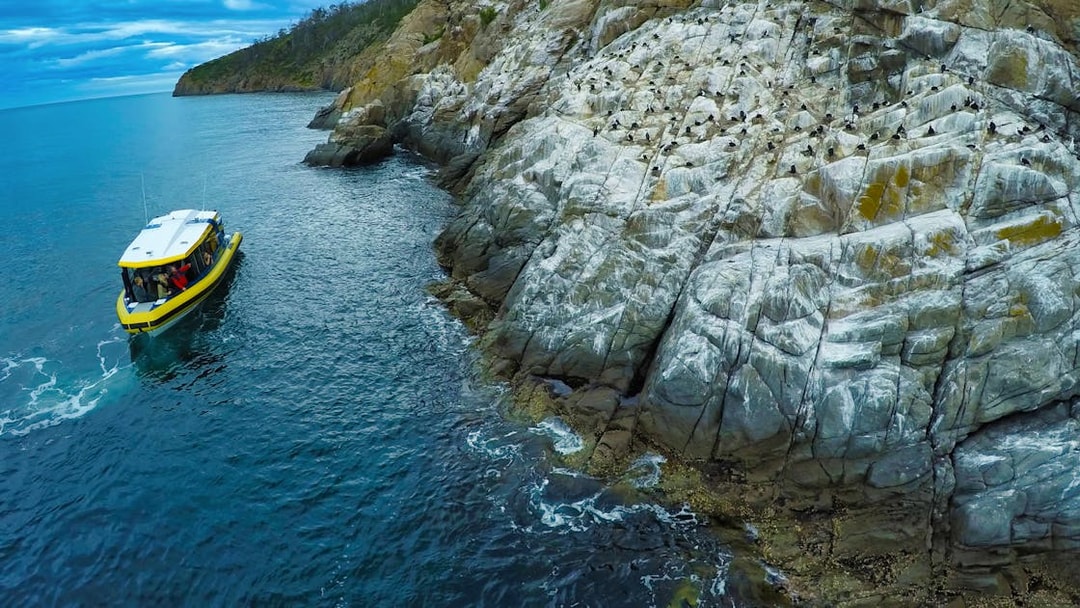 Boat cruising near rocky coastline on Iron Pot Cruise, Tasmania.