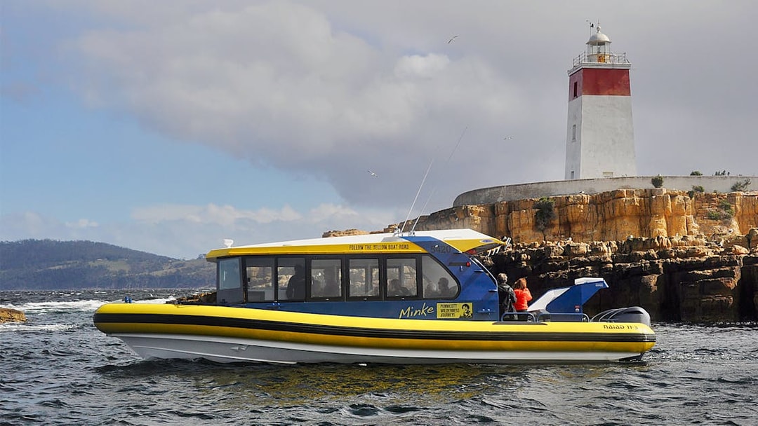 Boat cruising near Iron Pot Lighthouse, Tasmania.