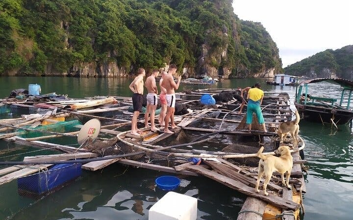 2-Day cruise in Lan Ha bay - Ha Long with Plankton excrursion at night and Floating House Stay Image 8