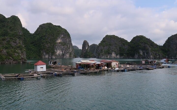 2-Day cruise in Lan Ha bay - Ha Long with Plankton excrursion at night and Floating House Stay Image 10