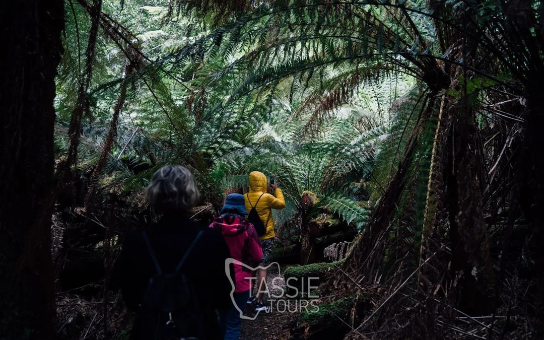 2 Day Tasmanian Highlights Bundle 2 - Hobart Highlights & Br Image 6