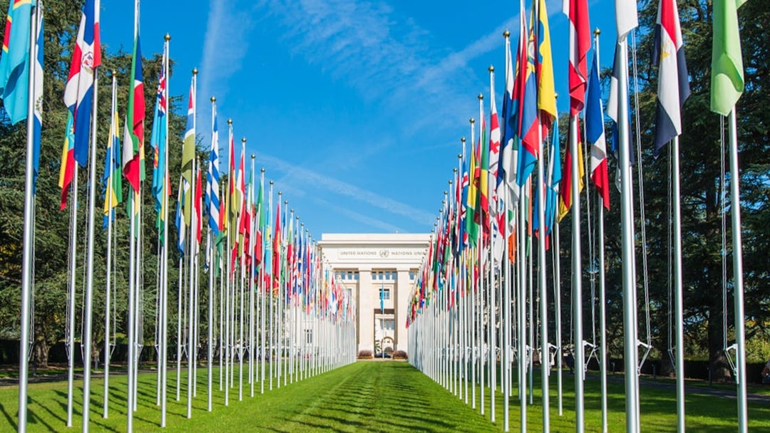 United Nations flags in front of the Palais des Nations, Geneva.