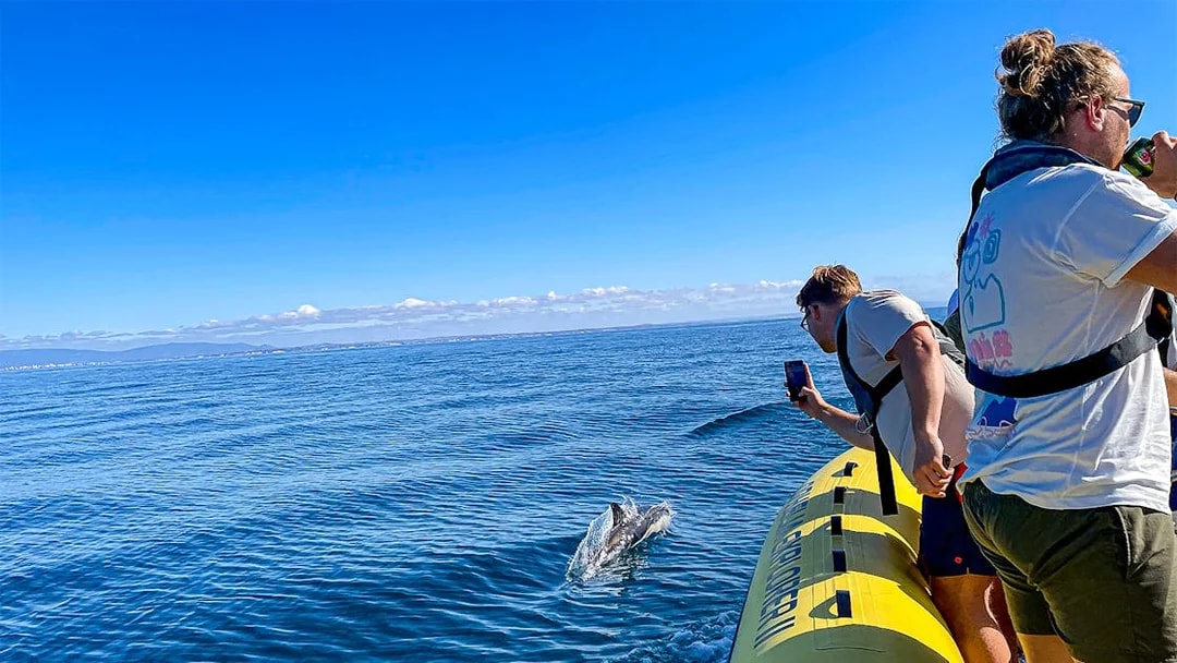 Tourists on a boat watching dolphins near Benagil Caves, Portugal.
