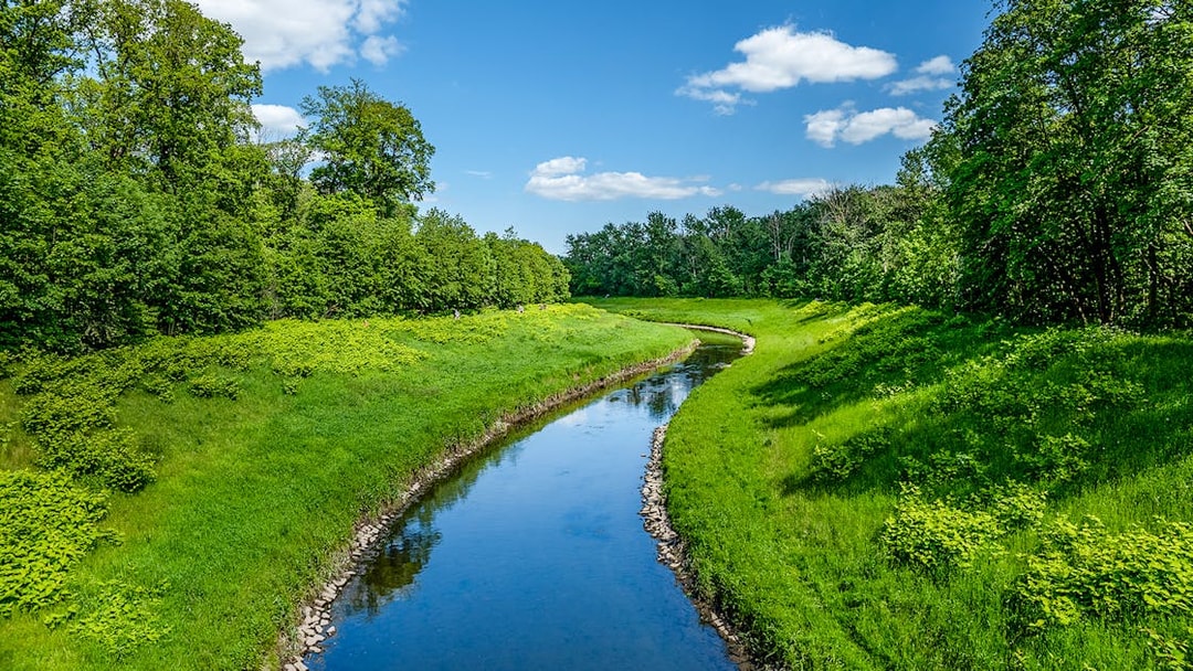 Auwald forest view with a winding river in Leipzig during a 2-hour motorboat tour.