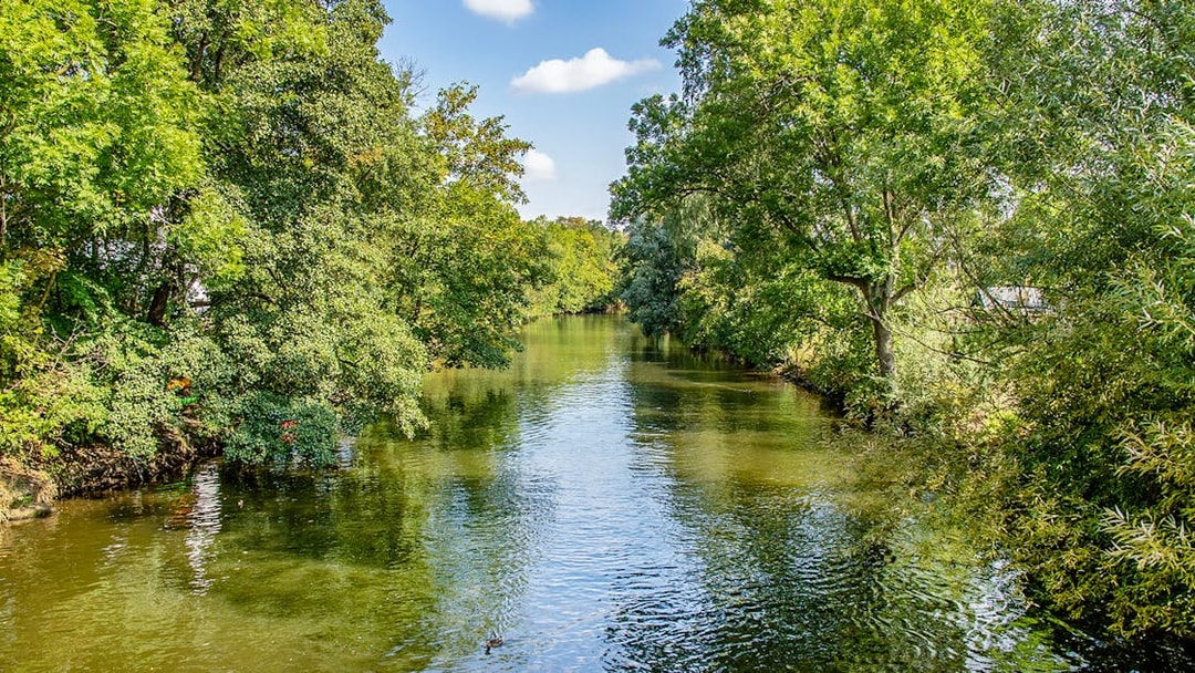 Riverside forest view along a calm river in Leipzig during a motorboat tour.