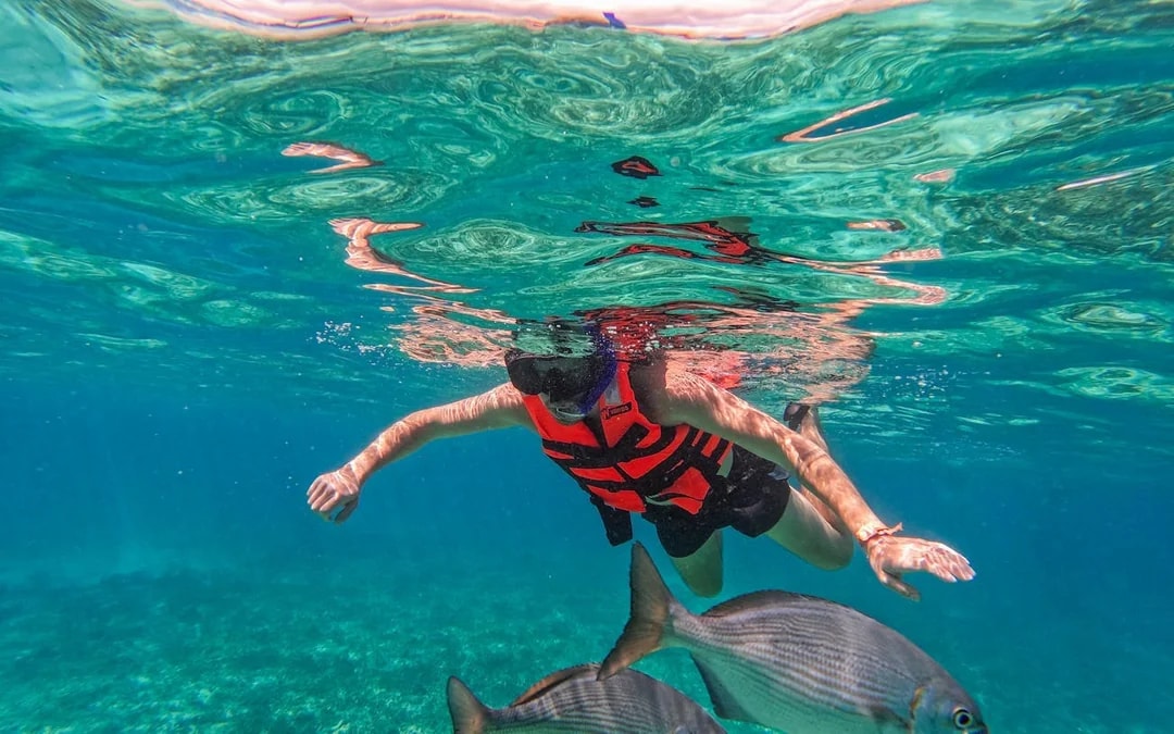 2 Hours Tulum Snorkel: Sea Turtles, Stingrays & Coral Reef Image 2