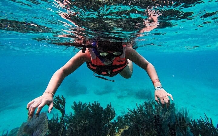 2 Hours Tulum Snorkel: Sea Turtles, Stingrays & Coral Reef Image 6