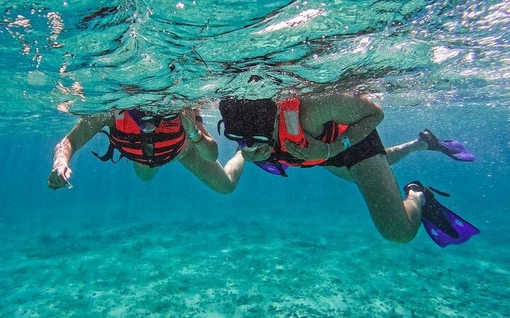 2 Hours Tulum Snorkel: Sea Turtles, Stingrays & Coral Reef Image 10