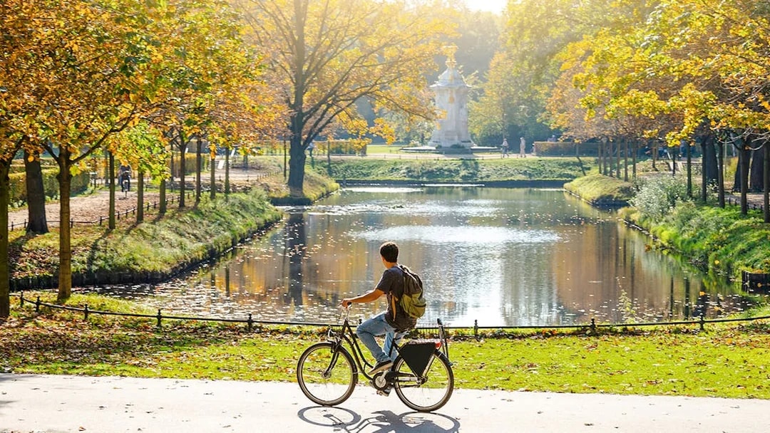 Cyclist in park during guided bike tour, autumn trees and pond in background.
