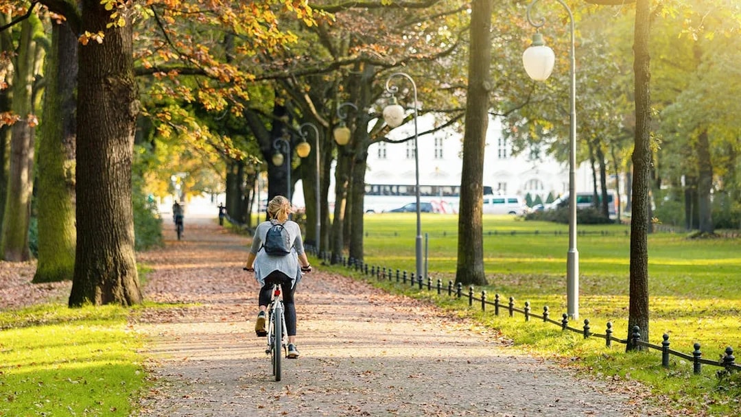 Cyclist on a tree-lined path during a guided bike tour in a park.