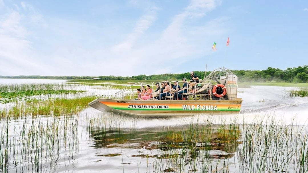 Guests on airboat touring Everglades, Florida, surrounded by wetlands.