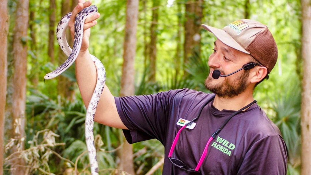 Expert handling snake at Everglades Wildlife Park.