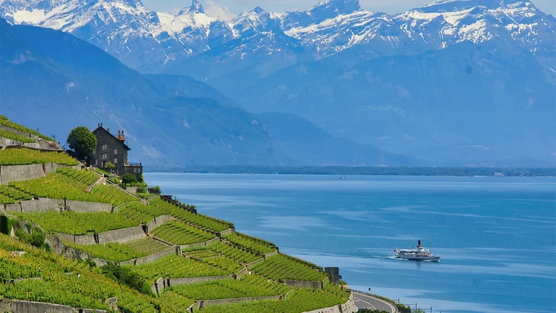 Cruise ship on Lake Geneva near Lavaux vineyards with Alps in the background.