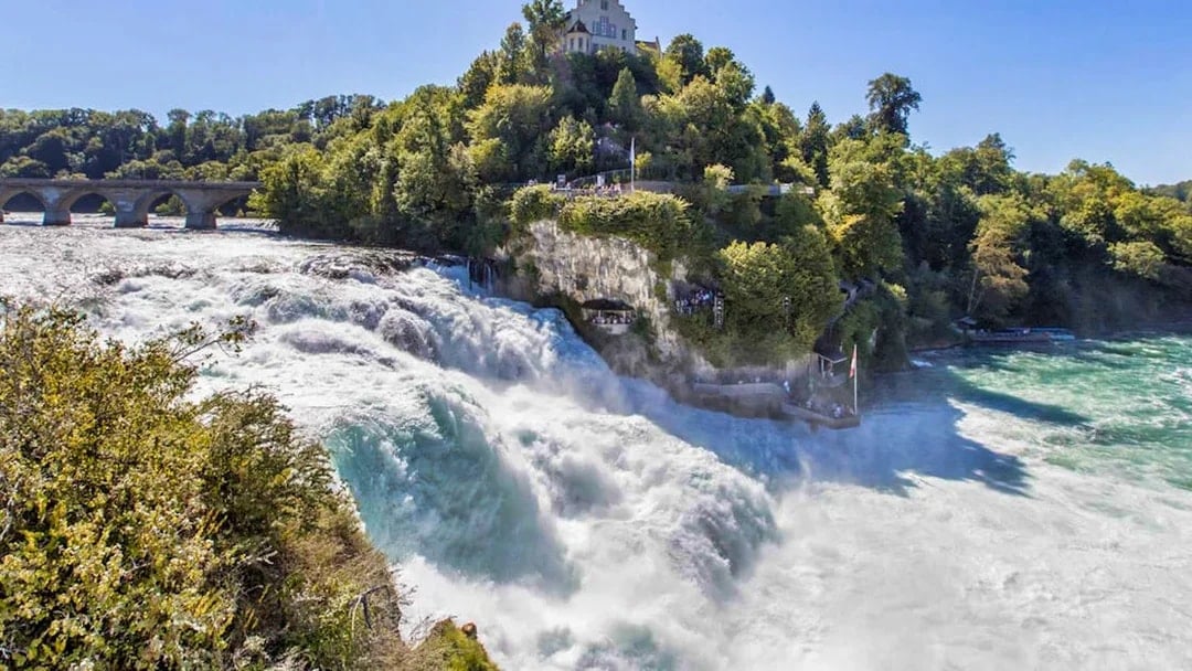 Rhine Falls cascading near Laufen Castle, surrounded by lush greenery, on a tour from Zürich.