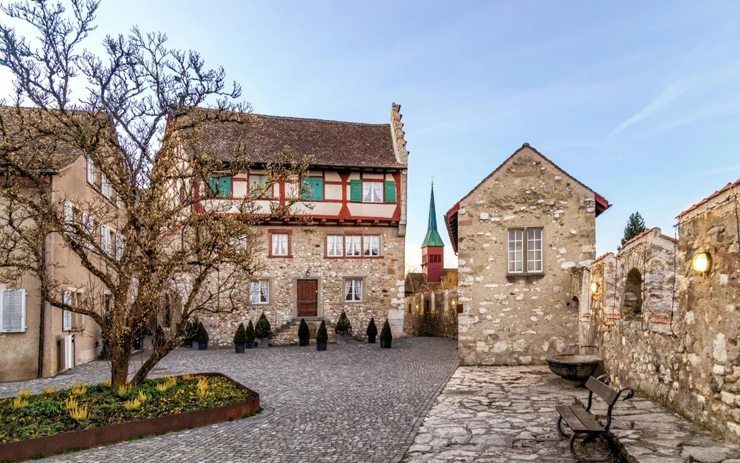Day Trip From Zürich to Rhine Falls & Laufen Castle Image 4
