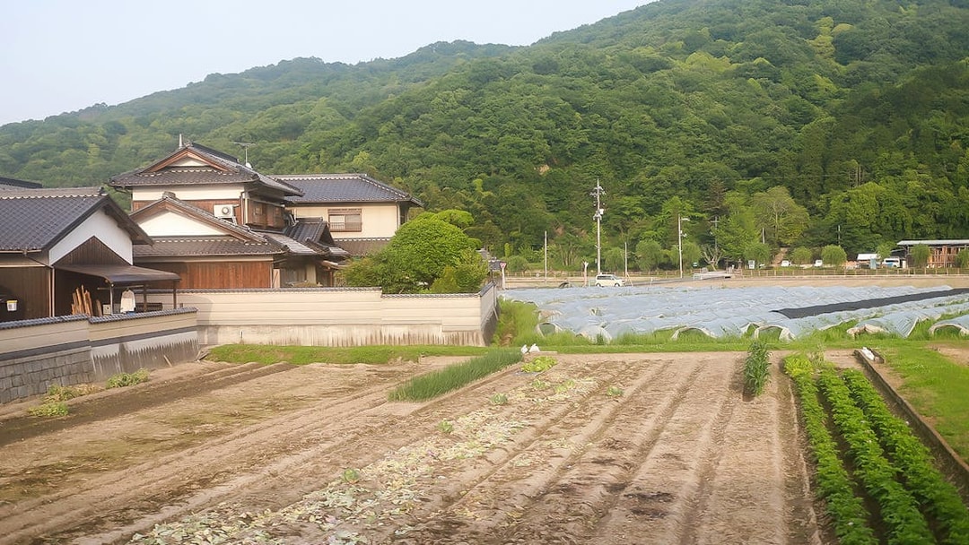 Traditional Japanese houses and farmland in Okayama, Japan, with lush green hills in the background.