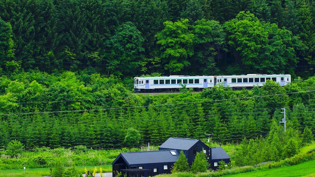 Train passing through lush forest in Sanyo-San'in area, Japan.