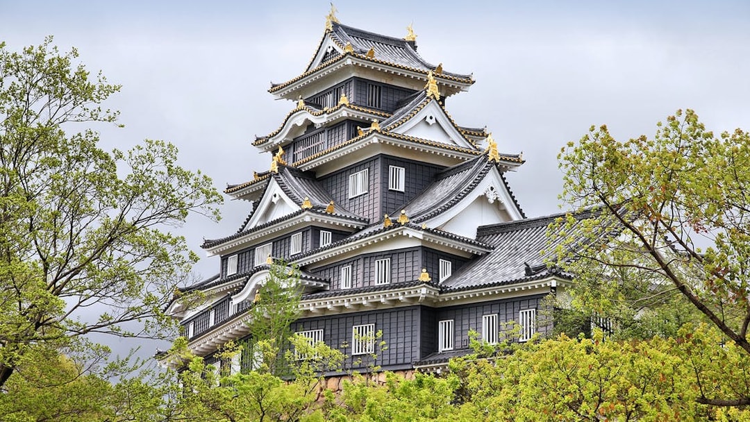 Okayama Castle surrounded by trees, part of the 7 Day Sanyo-San'in Area Pass tour.