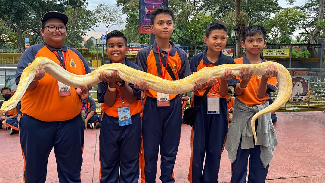 Children holding a large yellow python at 99 Wonderland Park.