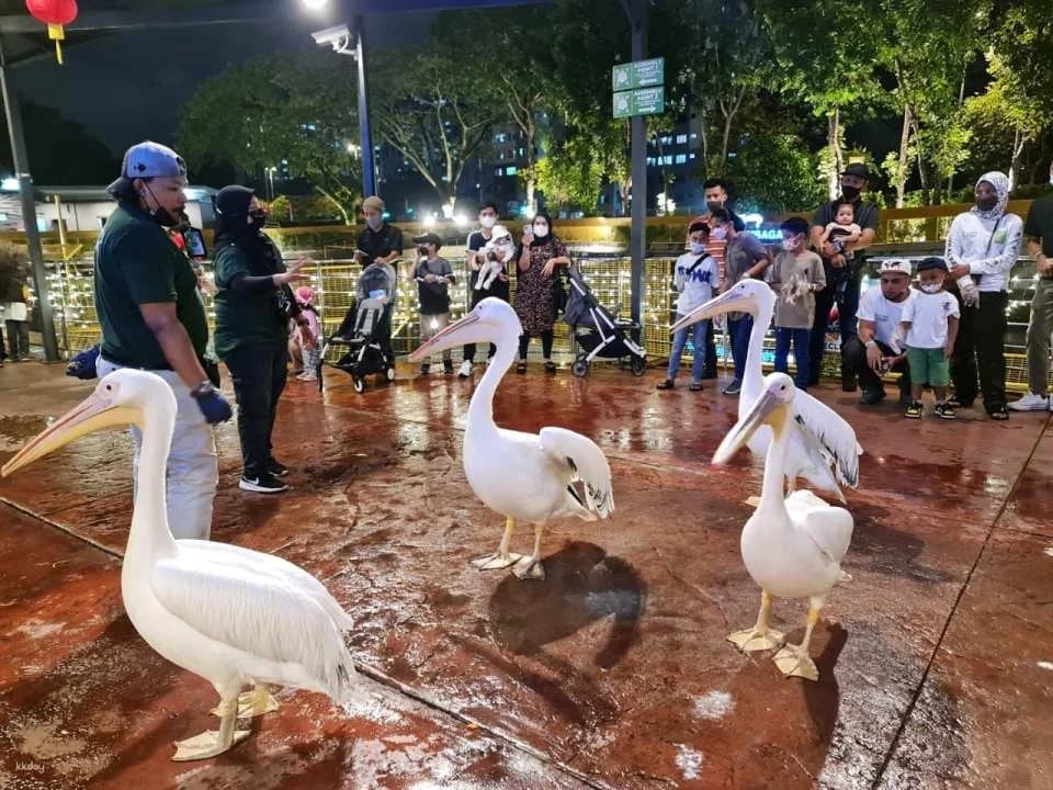 99 Wonderland Park Ticket | Kuala Lumpur