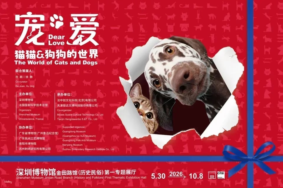 A joint presentation by the French National Museum of Science and Technology and the Shenzhen Museum: "Pets and Love—The World of Cats and Dogs"—an immersive and interactive science education experience.