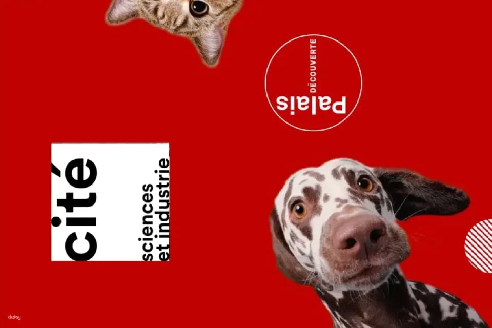 A joint presentation by the French National Museum of Science and Technology and the Shenzhen Museum: "Pets and Love—The World of Cats and Dogs"—an immersive and interactive science education experience.
