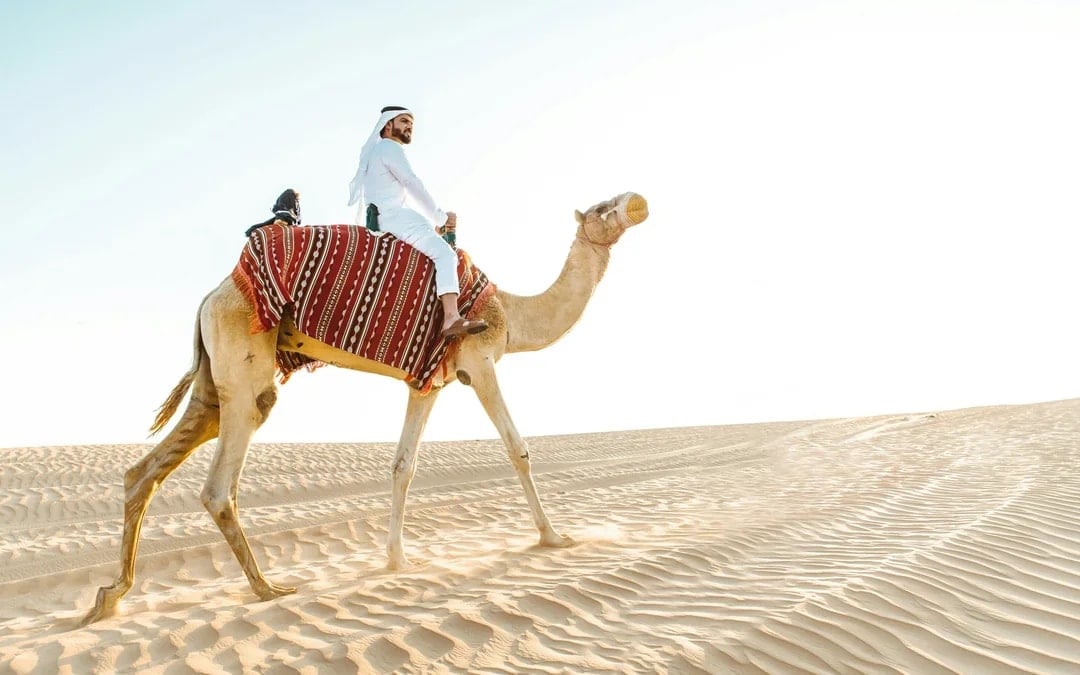 Abu Dhabi Camel Trekking Safari with Arabic Coffee & Dates