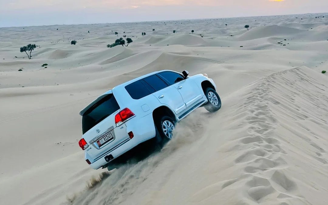 Abu Dhabi Evening Desert Safari with 4x4 Dune Bashing, Camel Ride, BBQ Dinner and Live Shows Image 1