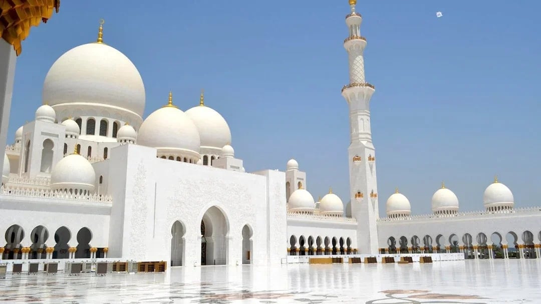 Full-Day Guided Tour of Abu Dhabi Mosque & Warner Bros. from Dubai