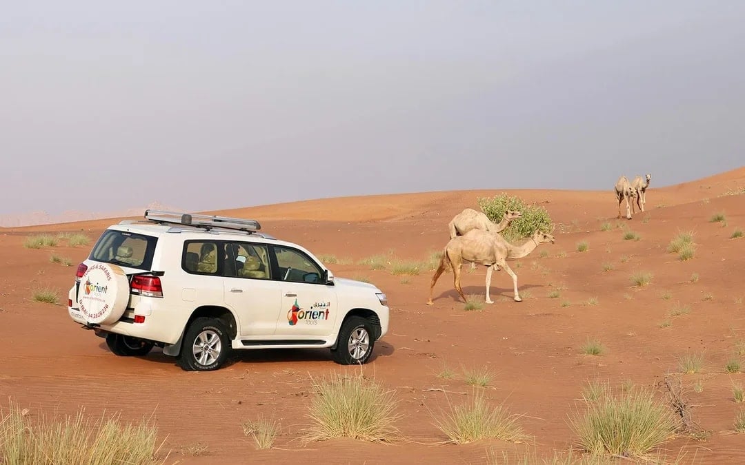 Abu Dhabi Sunrise Desert Safari with 4x4 Dune Bashing & Sandboarding