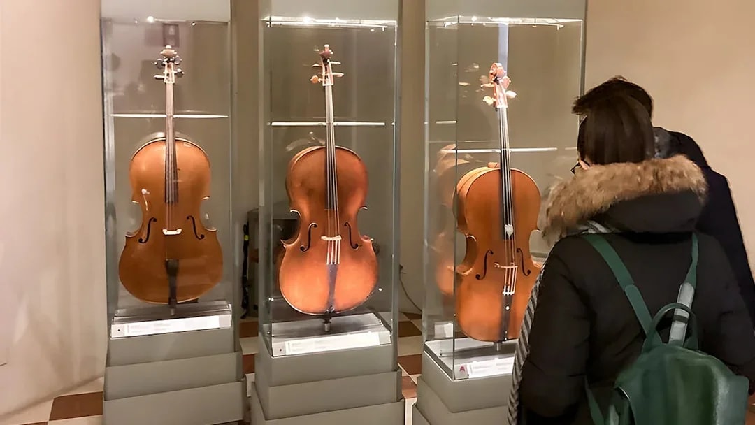 Cellos on display at Accademia Gallery, Florence, viewed by visitors.