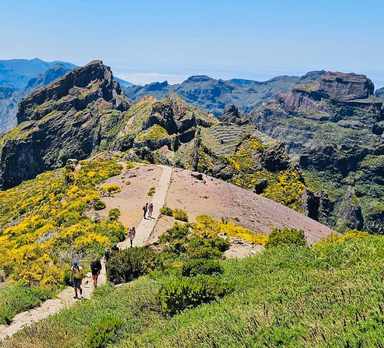 From Achada do Teixeira: One-Way Transfer to Pico do Arieiro