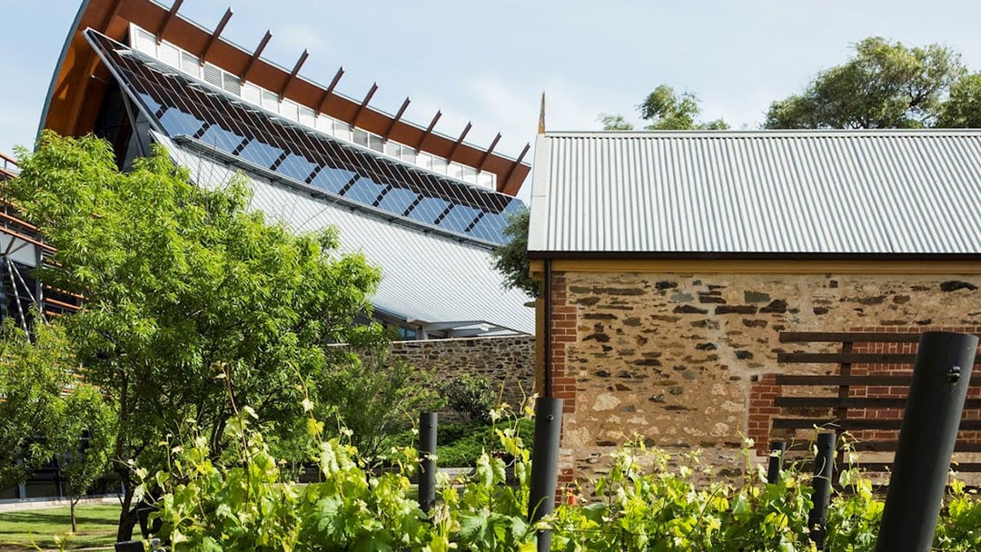 Modern architecture and vineyard in Adelaide city.