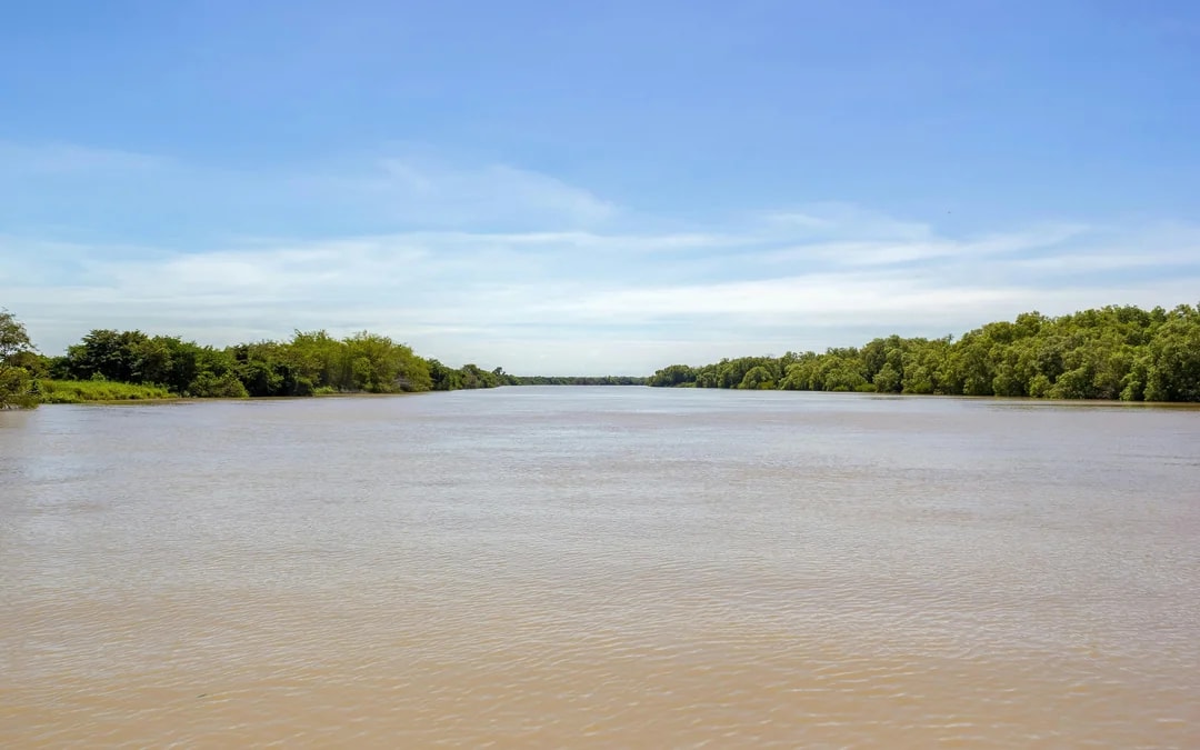 Adelaide River Jumping Crocodile Cruise with Guided Commentary Image 9