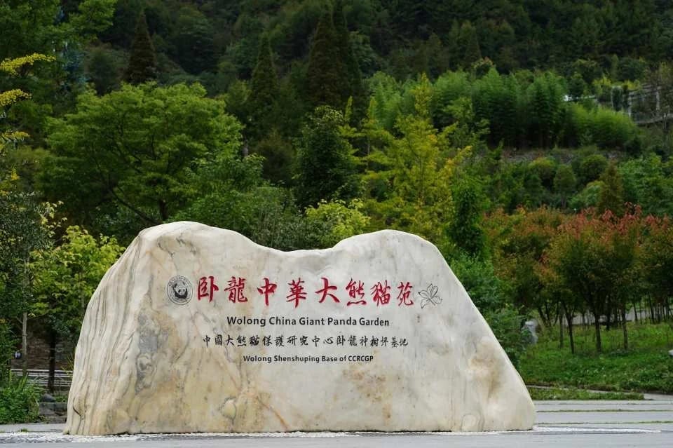 Admission ticket to Shenshuping Base of Wolong Giant Panda Protection and Research Center, Aba Prefecture, Sichuan, China