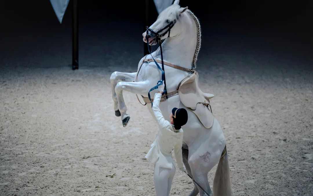 ADREA: Abu Dhabi Royal Equestrian Arts Show Tickets Image 9