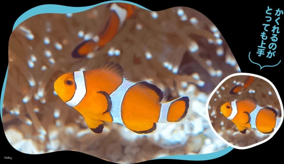 [Advance Tickets] Shin Sapporo Sunpiazza Aquarium Advance Ticket Reservations (Sapporo, Hokkaido)