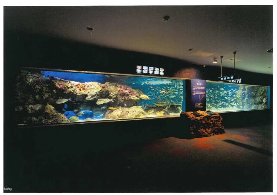 [Advance Tickets] Shin Sapporo Sunpiazza Aquarium Advance Ticket Reservations (Sapporo, Hokkaido)