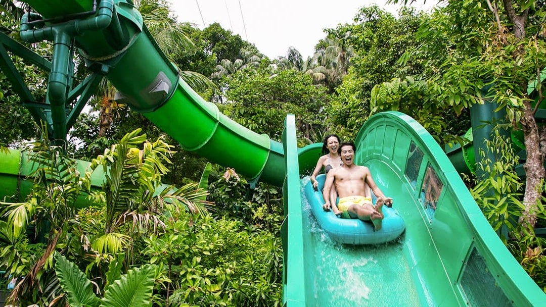 Visitors enjoying a water slide at Adventure Cove Waterpark™‎.