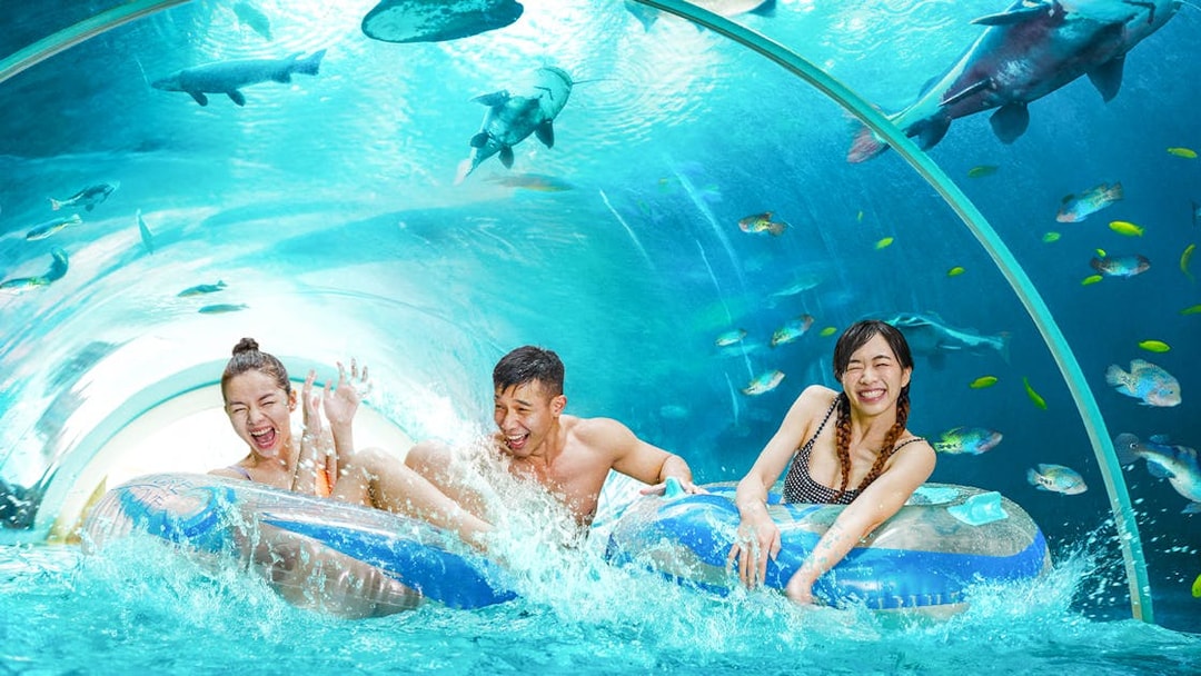 Guests enjoying a tube ride through an underwater tunnel at Adventure Cove Waterpark™.