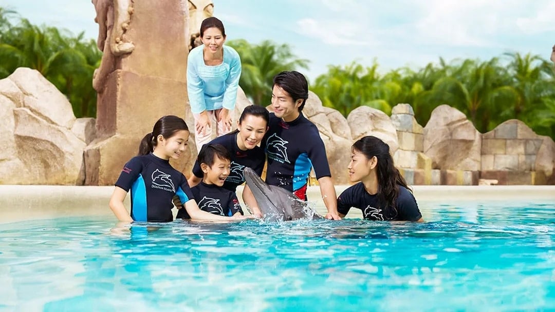 Adventure Cove Waterpark Tickets with Dolphin Moments, Singapore