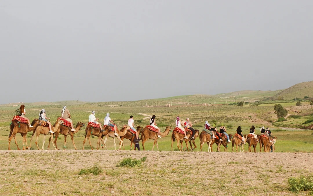 Agafay Desert Camel Ride & Lunch with Pool Access & Transfers Image 6