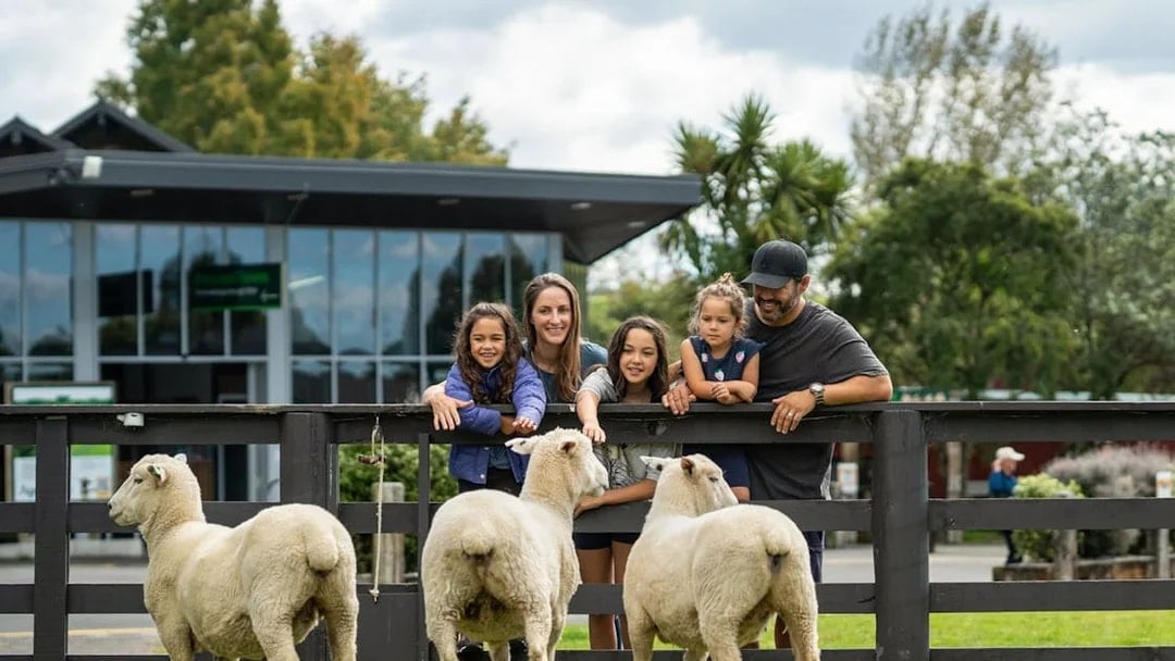 Agrodome Authentic Farm Experience Tickets, Rotorua