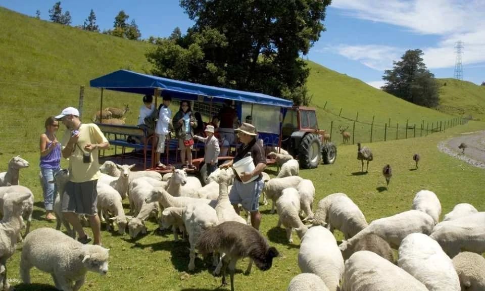 Agrodome Farm Show + Farm Tour Experience - New Zealand