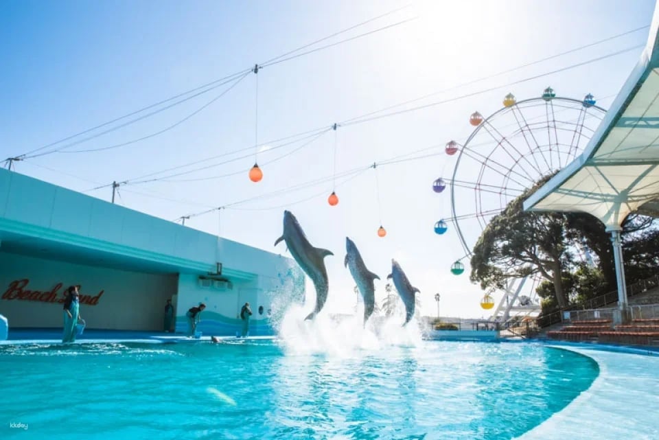 Aichi, Japan | Minamichita Beach Park & ​​Toy Kingdom Common Admission Ticket